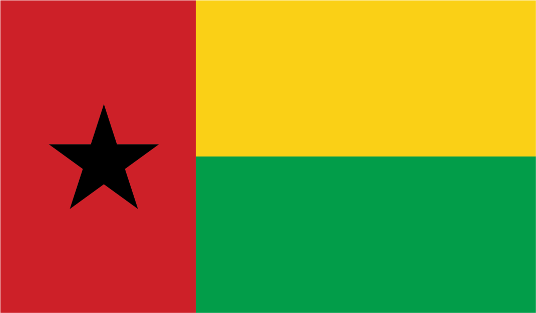 African-Flag-23