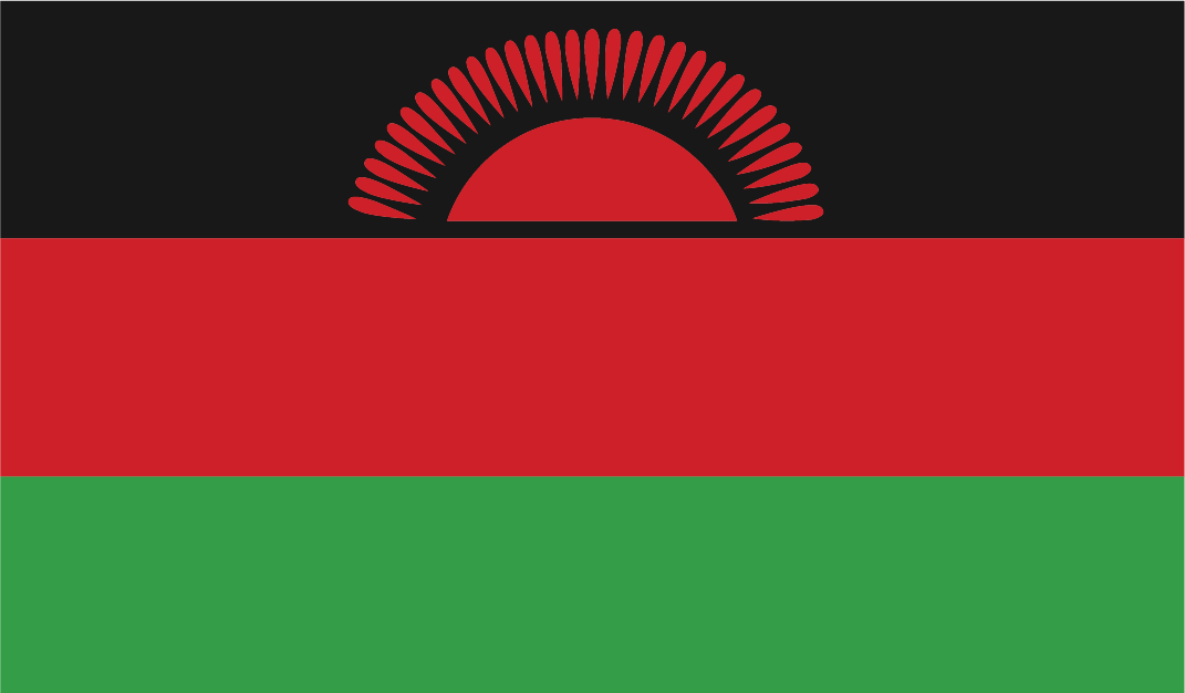 African-Flag-29