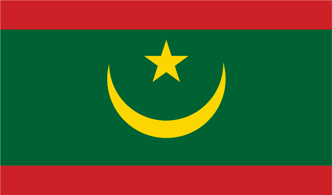 African-Flag-31