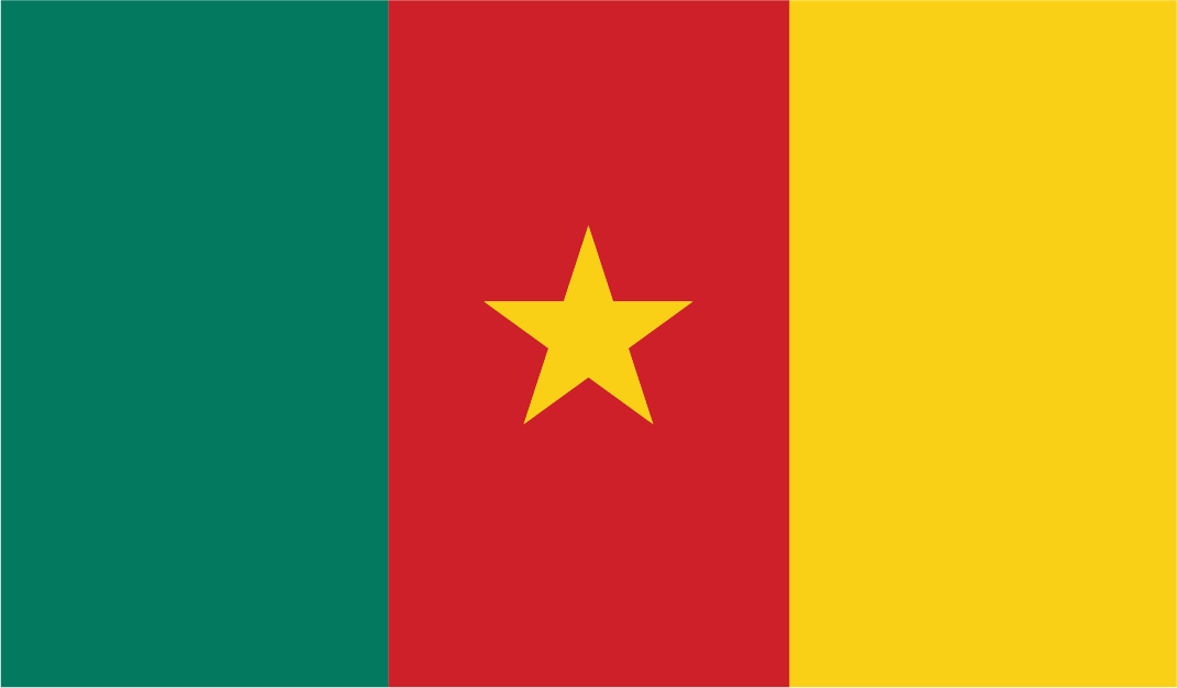 African-Flag-7